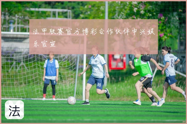 法甲联赛官方博彩合作伙伴中兴娱乐官宣
